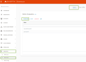Aviatrix SAML Endpoint creation - step 1