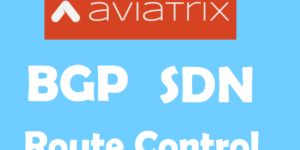 Aviatrix Route Control options