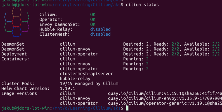 Cilium Status - Helm installation